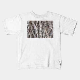 Tree bark background Kids T-Shirt